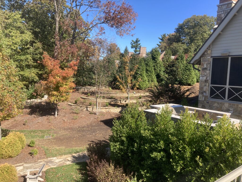 Picturesque backyard view on a sunny autumn morning.