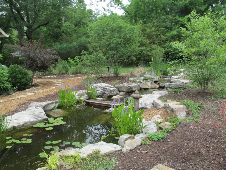 flowing stream outlined with flowers